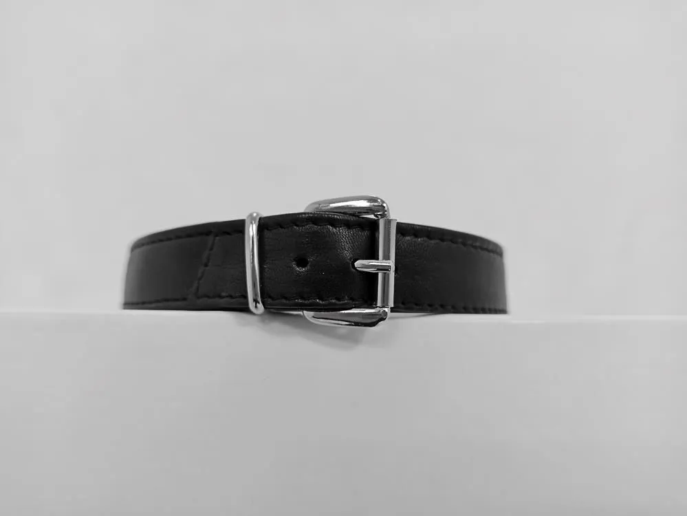 Schlichtes Lederhalsband mit Schnallenverschluss